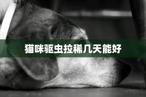 貓咪驅蟲拉稀幾天能好