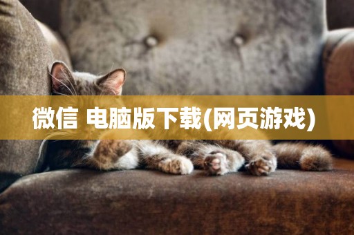 微信 電腦版下載(網頁游戲) 
