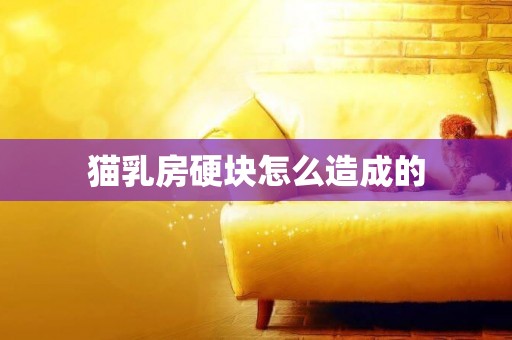 貓乳房硬塊怎么造成的