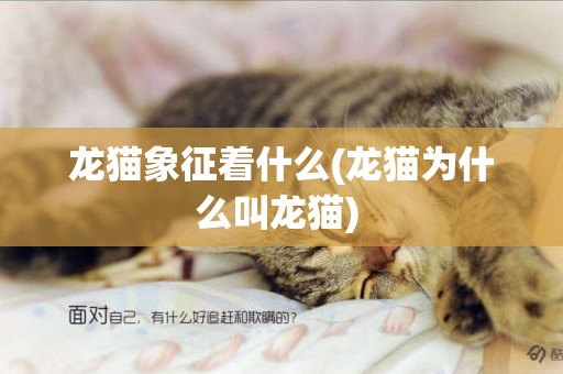 龍貓象征著什么(龍貓為什么叫龍貓) 