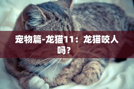 寵物篇-龍貓11：龍貓咬人嗎？ 