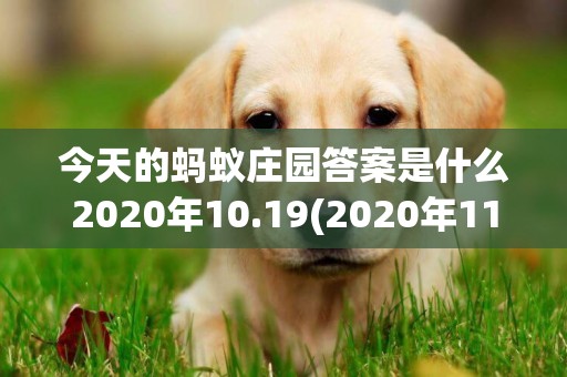 今天的螞蟻莊園答案是什么2020年10.19(2020年11月9日螞蟻莊園小課堂答案是什么) 