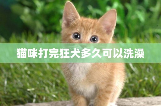 貓咪打完狂犬多久可以洗澡
