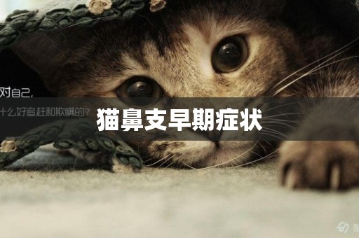 貓鼻支早期癥狀
