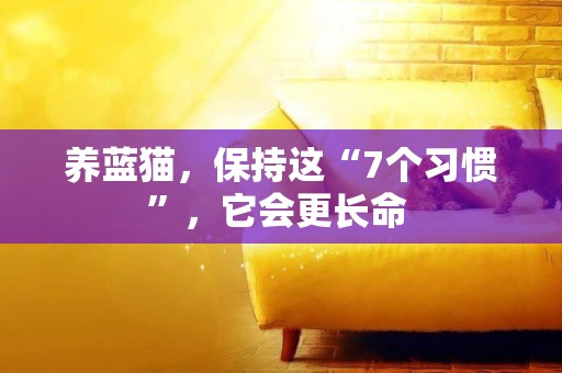 養藍貓，保持這“7個習慣”，它會更長命 