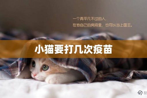小貓要打幾次疫苗