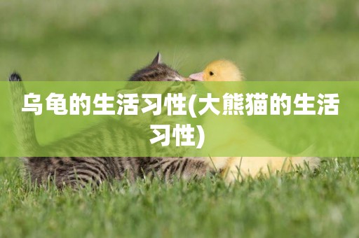 烏龜的生活習性(大熊貓的生活習性) 