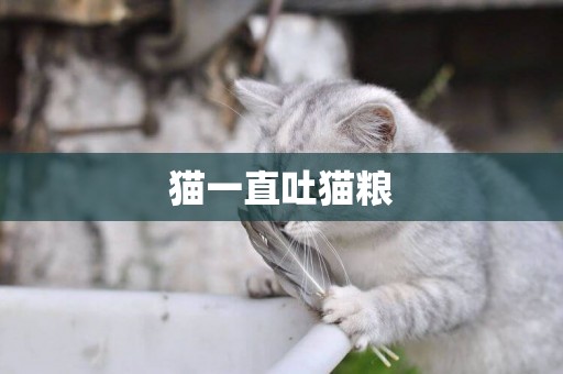 貓一直吐貓糧