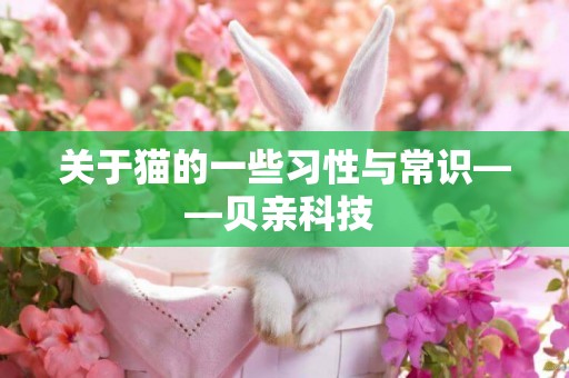 關于貓的一些習性與常識——貝親科技 