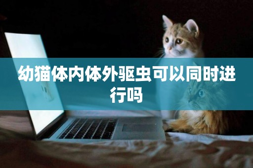 幼貓體內體外驅蟲可以同時進行嗎