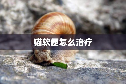 貓軟便怎么治療