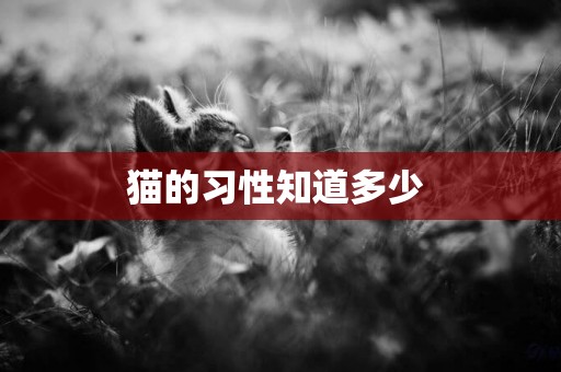 貓的習性知道多少 