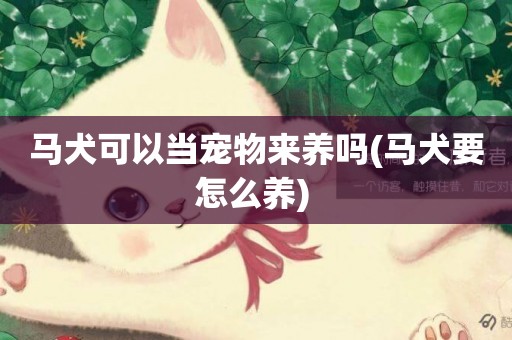 馬犬可以當寵物來養嗎(馬犬要怎么養) 