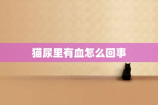貓尿里有血怎么回事