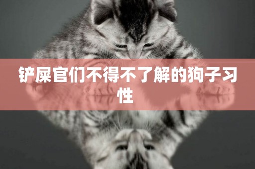 鏟屎官們不得不了解的狗子習性 