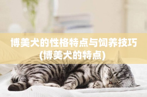 博美犬的性格特點與飼養技巧(博美犬的特點) 