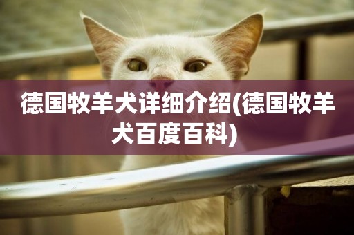 德國牧羊犬詳細介紹(德國牧羊犬百度百科) 