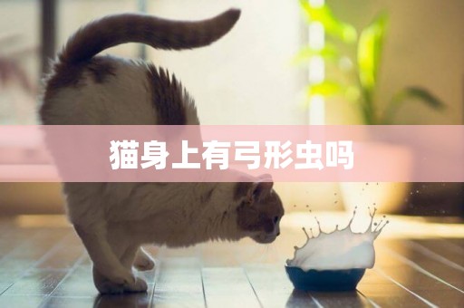 貓身上有弓形蟲嗎
