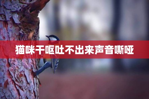貓咪干嘔吐不出來聲音嘶啞
