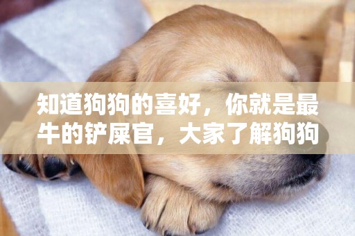 知道狗狗的喜好，你就是最牛的鏟屎官，大家了解狗狗習性嗎？ 