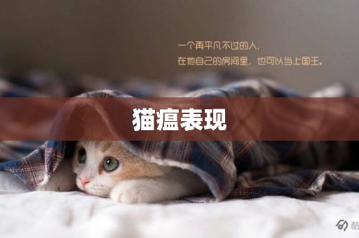 貓瘟表現