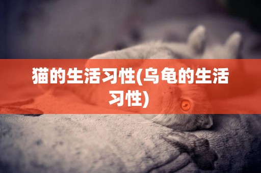 貓的生活習性(烏龜的生活習性) 