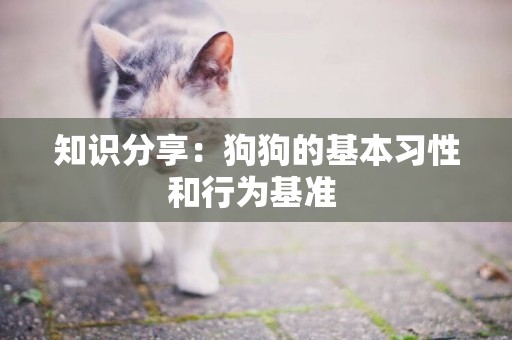 知識分享：狗狗的基本習性和行為基準 