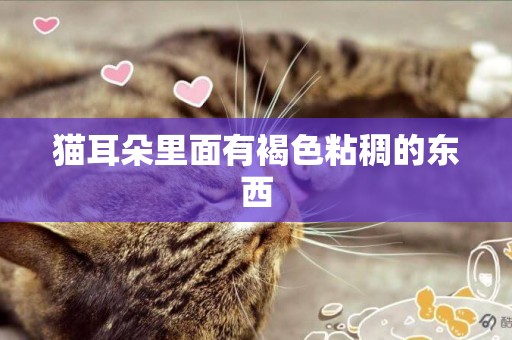 貓耳朵里面有褐色粘稠的東西