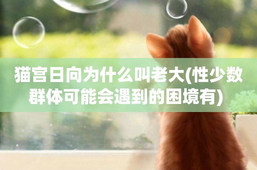 貓宮日向為什么叫老大(性少數群體可能會遇到的困境有) 