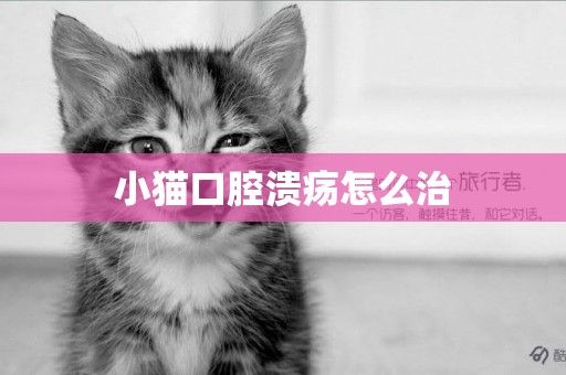 小貓口腔潰瘍怎么治