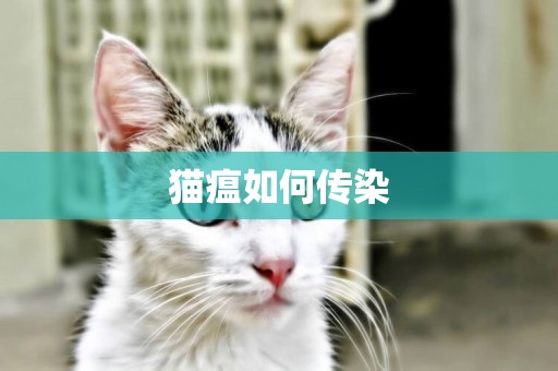 貓瘟如何傳染