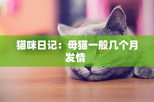 貓咪日記：母貓一般幾個月發情 