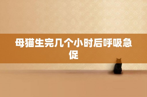 母貓生完幾個小時后呼吸急促