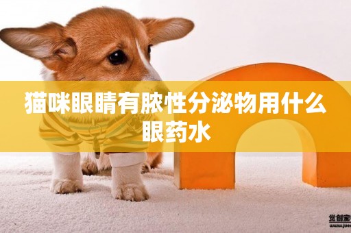 貓咪眼睛有膿性分泌物用什么眼藥水