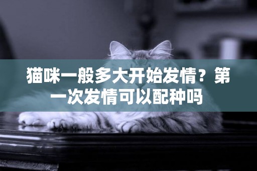 貓咪一般多大開始發情？第一次發情可以配種嗎 