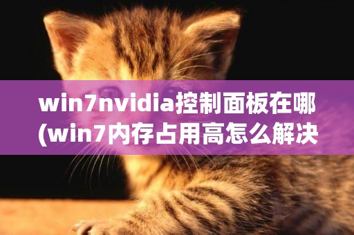win7nvidia控制面板在哪(win7內存占用高怎么解決) 