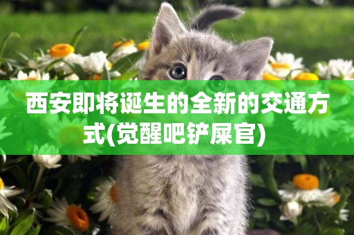 西安即將誕生的全新的交通方式(覺醒吧鏟屎官) 