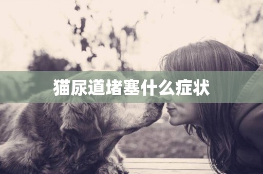 貓尿道堵塞什么癥狀