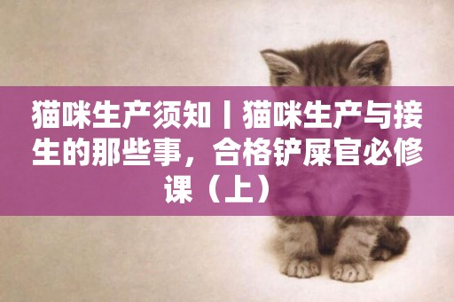 貓咪生產須知丨貓咪生產與接生的那些事，合格鏟屎官必修課（上） 
