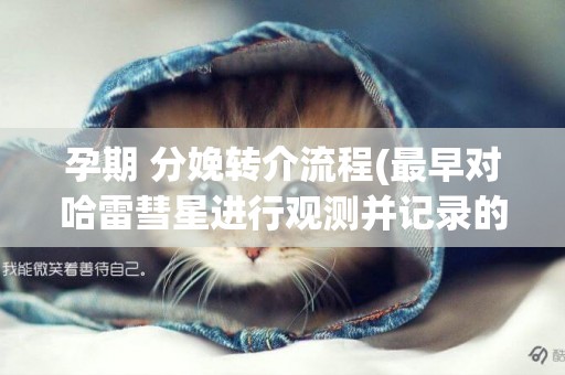 孕期 分娩轉介流程(最早對哈雷彗星進行觀測并記錄的國家是) 