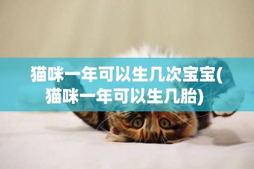 貓咪一年可以生幾次寶寶(貓咪一年可以生幾胎) 