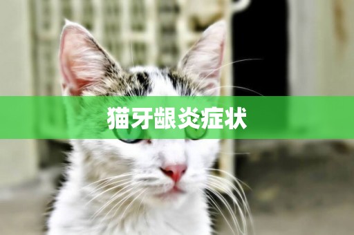 貓牙齦炎癥狀