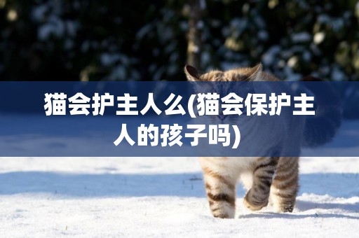 貓會護主人么(貓會保護主人的孩子嗎) 