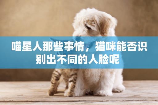 喵星人那些事情，貓咪能否識別出不同的人臉呢 