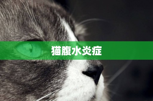 貓腹水炎癥