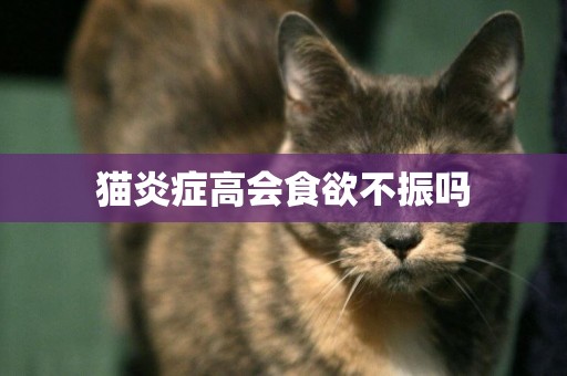 貓炎癥高會食欲不振嗎