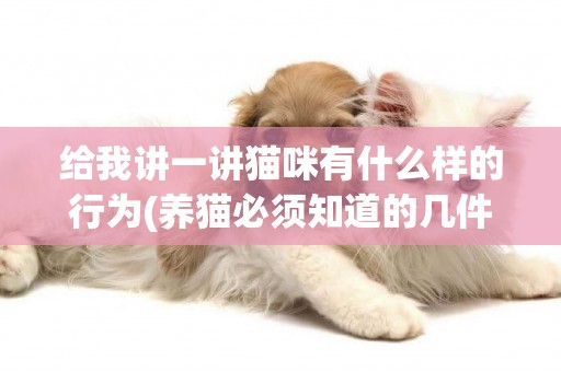 給我講一講貓咪有什么樣的行為(養貓必須知道的幾件事) 