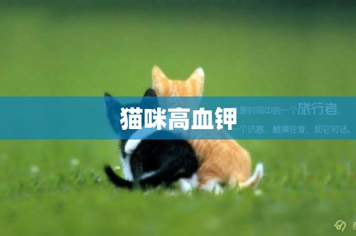 貓咪高血鉀