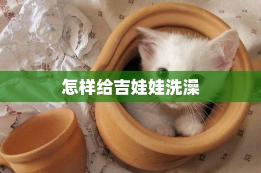 怎樣給吉娃娃洗澡