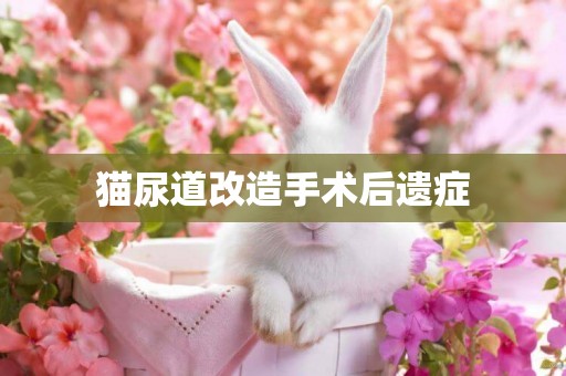 貓尿道改造手術后遺癥